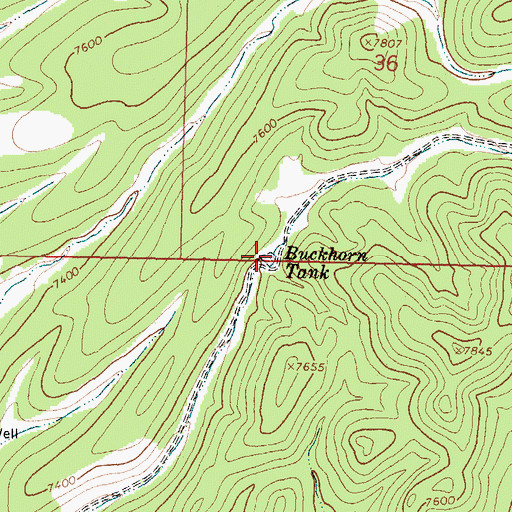 Topographic Map of Buckhorn Tank, NM