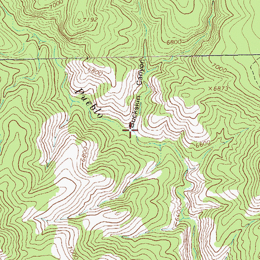 Topographic Map of Buckskin Canyon, NM
