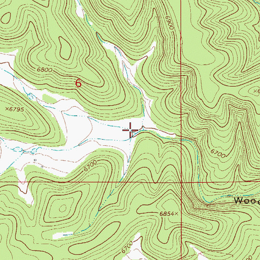 Topographic Map of Bud Holland Canyon, NM