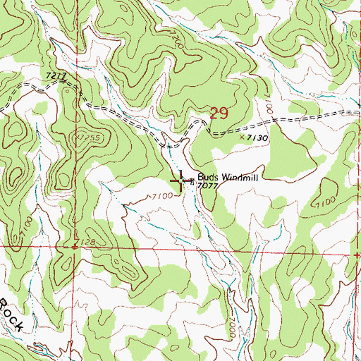 Topographic Map of Buds Windmill, NM