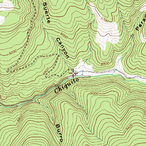 Topographic Map of Buena Suerte Canyon, NM