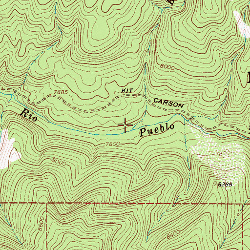 Topographic Map of Buffalo Grass Creek, NM