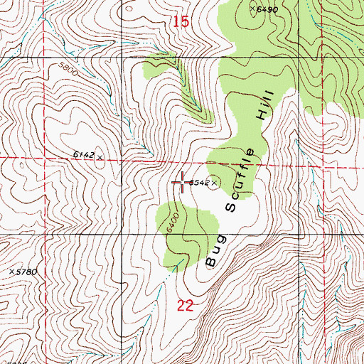 Topographic Map of Bug Scuffle Hill, NM