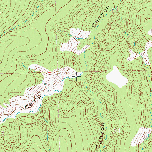 Topographic Map of Bull Basin Canyon, NM