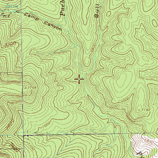 Topographic Map of Bull Canyon, NM
