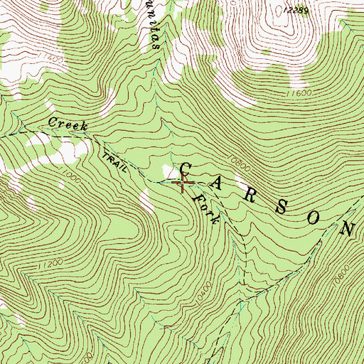 Topographic Map of Bull Creek, NM