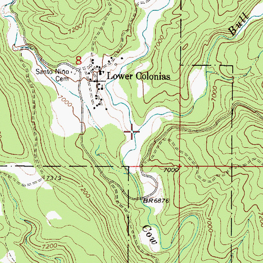 Topographic Map of Bull Creek, NM