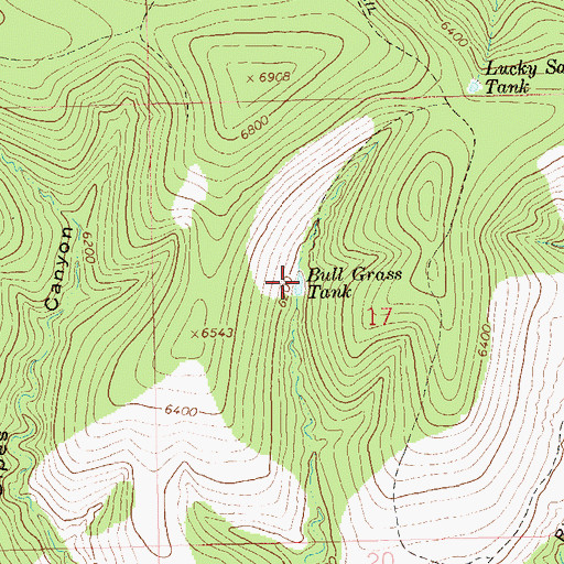 Topographic Map of Bull Grass Tank, NM