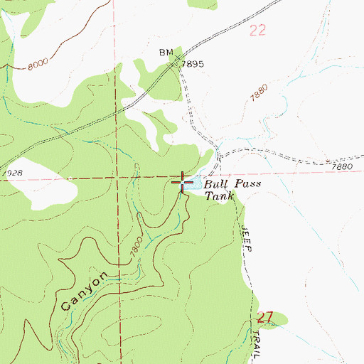 Topographic Map of Bull Pass Tank, NM