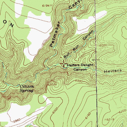 Topographic Map of Bull Run Canyon, NM