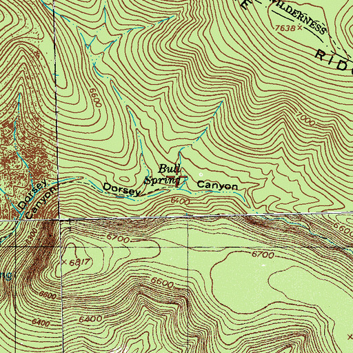 Topographic Map of Bull Spring, NM