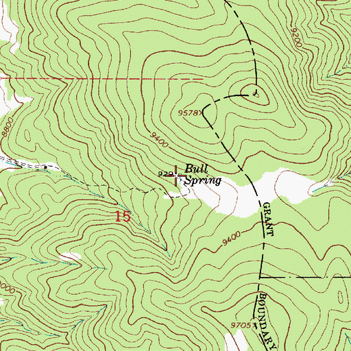 Topographic Map of Bull Spring, NM