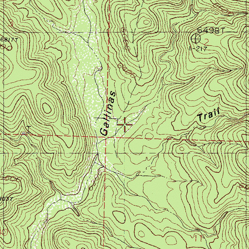 Topographic Map of Bull Trap Canyon, NM