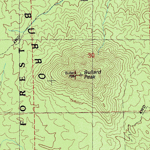 Topographic Map of Bullard Peak, NM