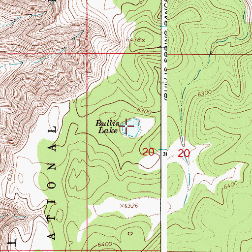 Topographic Map of Bullis Lake, NM