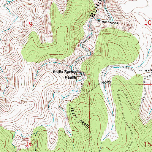 Topographic Map of Bullis Spring Ranch, NM