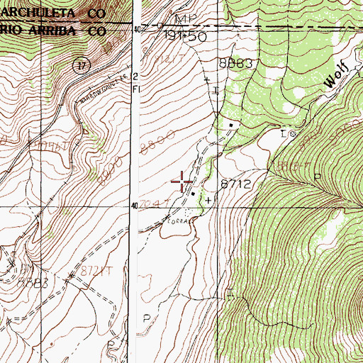 Topographic Map of Burn Cow Camp, NM