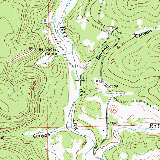 Topographic Map of Burned Canyon, NM