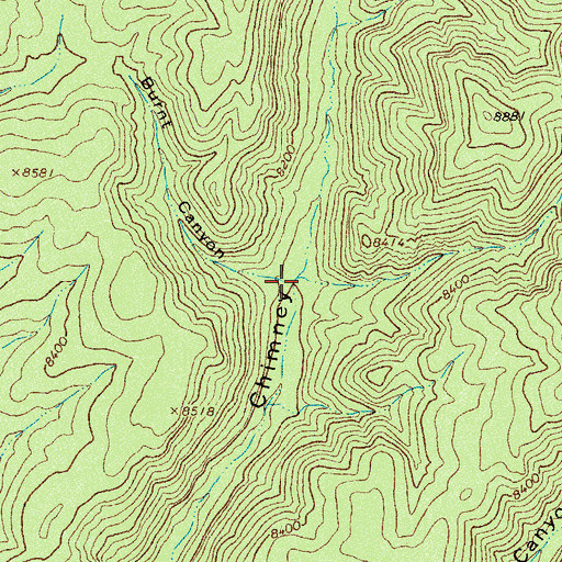 Topographic Map of Burnt Canyon, NM
