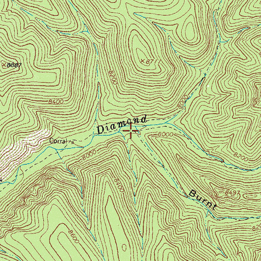 Topographic Map of Burnt Canyon, NM