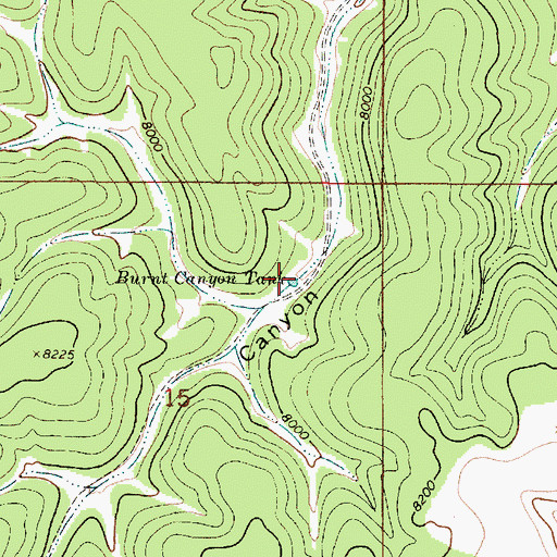 Topographic Map of Burnt Canyon Tank, NM