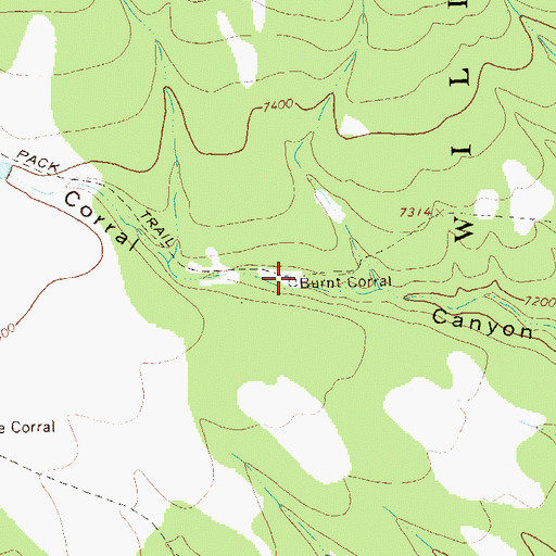 Topographic Map of Burnt Corral, NM