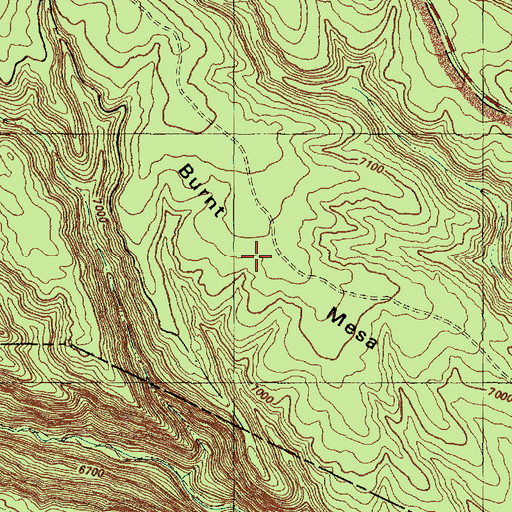 Topographic Map of Burnt Mesa, NM