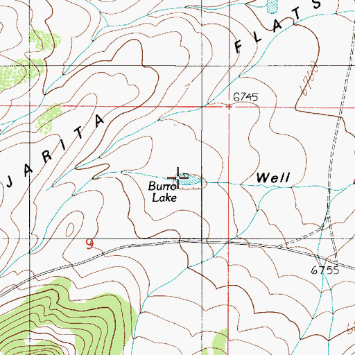 Topographic Map of Burro Lake, NM