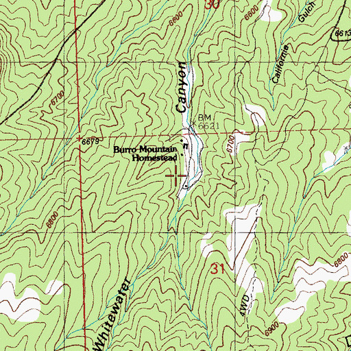 Topographic Map of Burro Mountain Homestead, NM