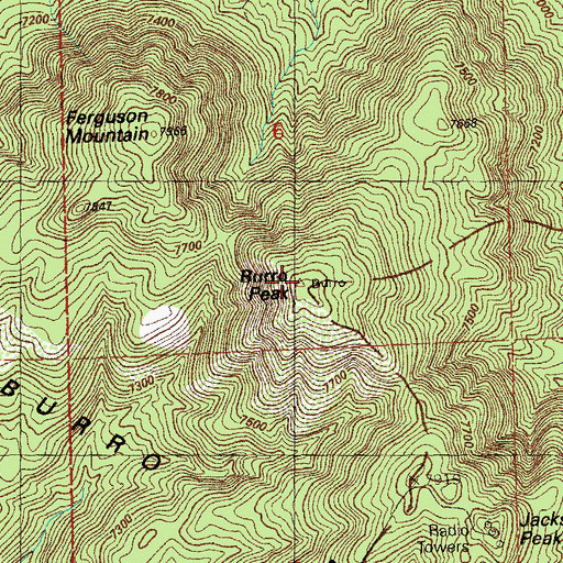 Topographic Map of Burro Peak, NM