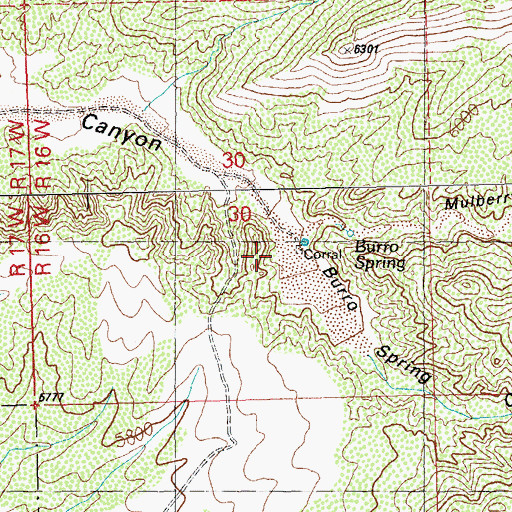 Topographic Map of Burro Spring, NM