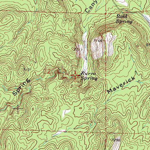 Topographic Map of Burro Spring, NM