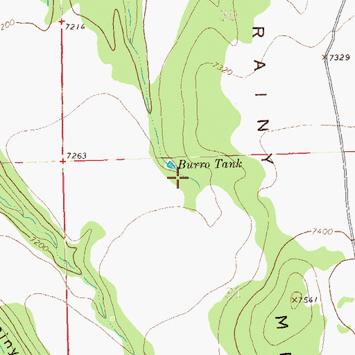 Topographic Map of Burro Tank, NM