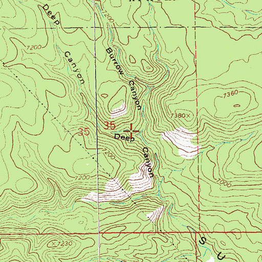 Topographic Map of Burrow Canyon, NM