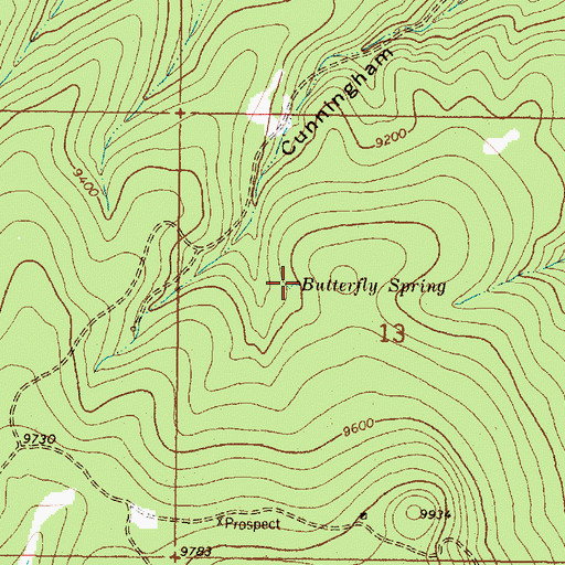Topographic Map of Butterfly Spring, NM