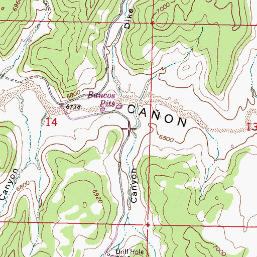 Topographic Map of Buzzard Canyon, NM