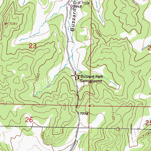 Topographic Map of Buzzard Park Campground, NM