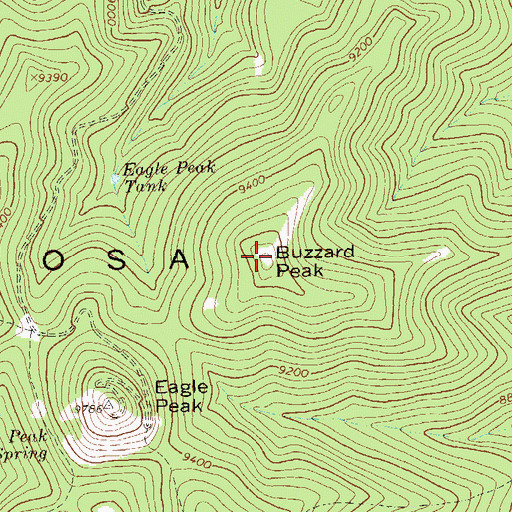 Topographic Map of Buzzard Peak, NM