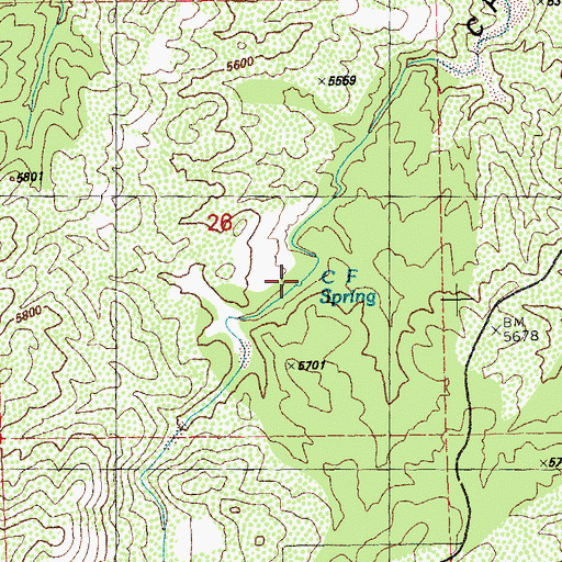 Topographic Map of C F Spring, NM