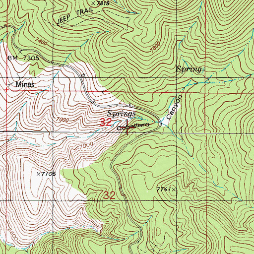 Topographic Map of Caballero Canyon, NM