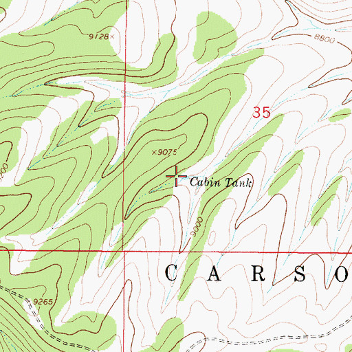 Topographic Map of Cabin Tank, NM