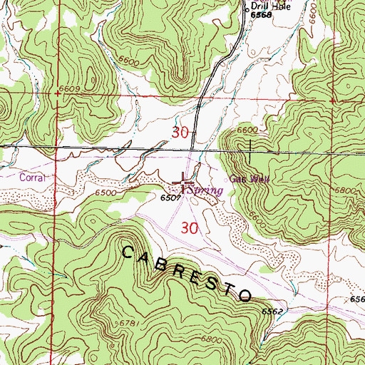 Topographic Map of Cabrero Canyon, NM