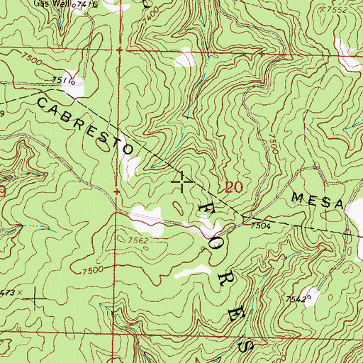 Topographic Map of Cabresto Mesa, NM