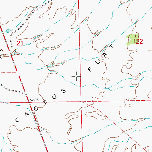 Topographic Map of Cactus Flat, NM