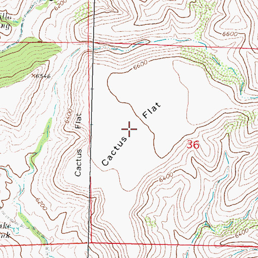 Topographic Map of Cactus Flat, NM