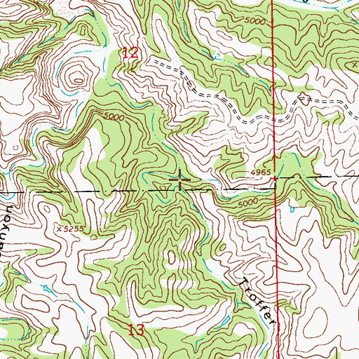 Topographic Map of Cactus Flat Draw, NM