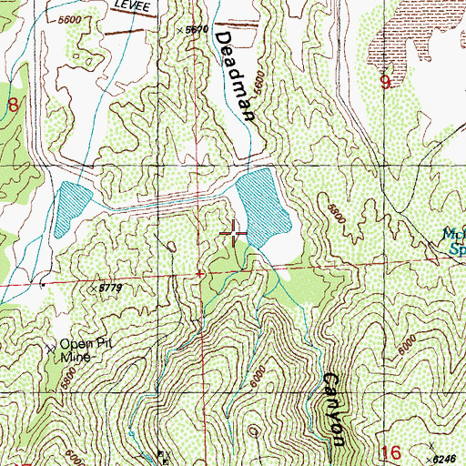Topographic Map of California Gulch, NM