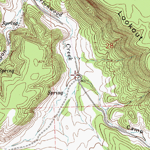 Topographic Map of Camp Seven Canyon, NM
