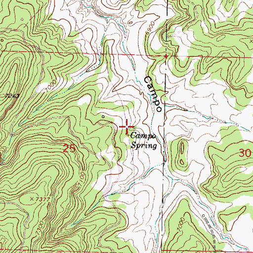 Topographic Map of Campo Spring, NM