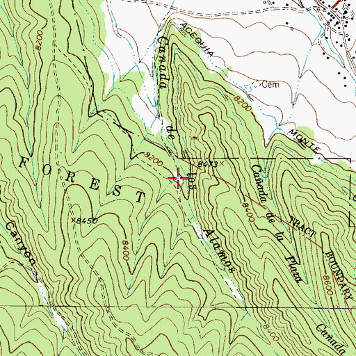 Topographic Map of Caada de la Plaza, NM